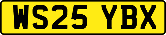 WS25YBX