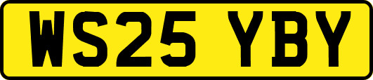 WS25YBY