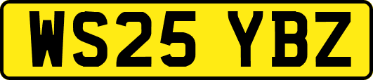 WS25YBZ