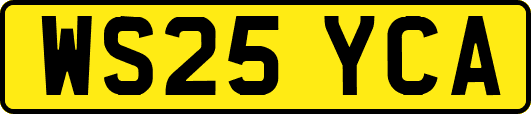 WS25YCA