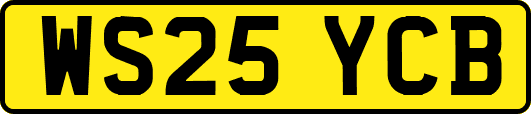 WS25YCB