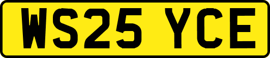 WS25YCE