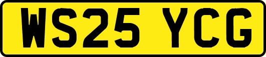WS25YCG