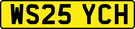 WS25YCH