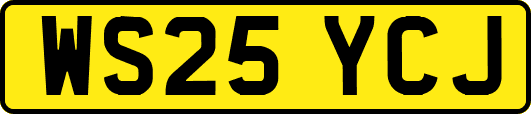 WS25YCJ