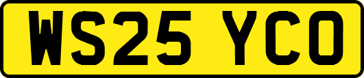 WS25YCO