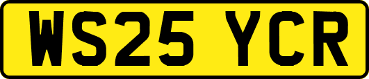 WS25YCR