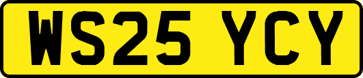 WS25YCY