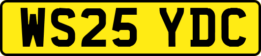 WS25YDC