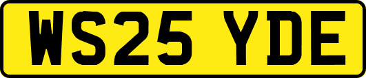 WS25YDE