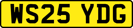 WS25YDG