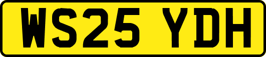 WS25YDH