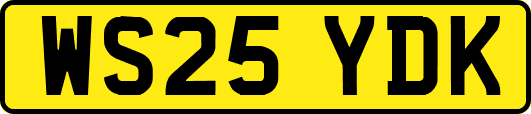 WS25YDK