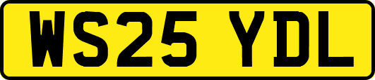 WS25YDL