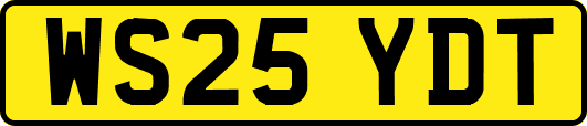 WS25YDT