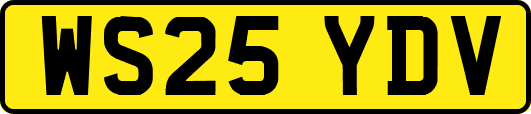 WS25YDV
