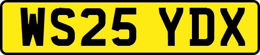 WS25YDX