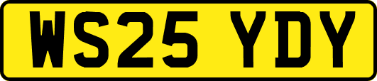 WS25YDY