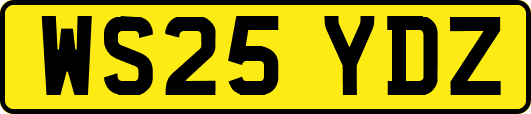 WS25YDZ