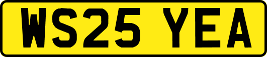 WS25YEA