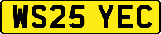 WS25YEC