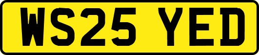 WS25YED