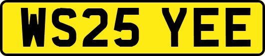 WS25YEE
