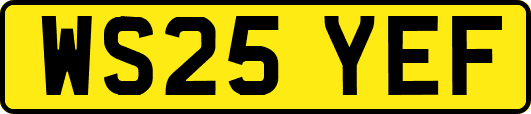 WS25YEF
