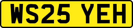 WS25YEH