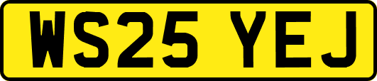 WS25YEJ