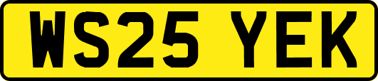 WS25YEK
