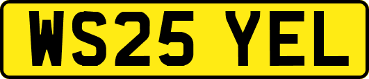 WS25YEL