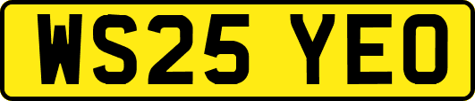 WS25YEO