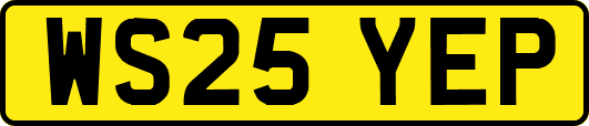 WS25YEP