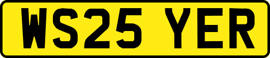 WS25YER