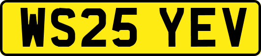 WS25YEV