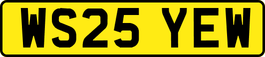WS25YEW