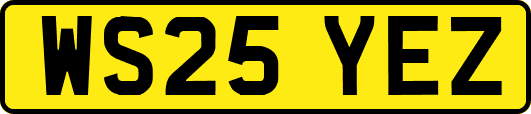 WS25YEZ