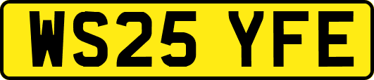 WS25YFE