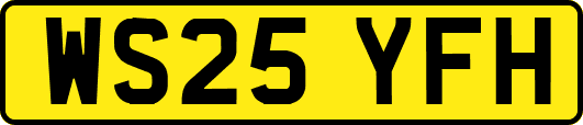 WS25YFH