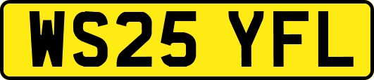WS25YFL