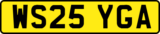 WS25YGA
