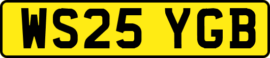 WS25YGB