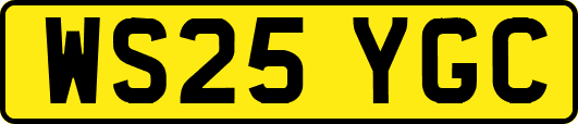 WS25YGC