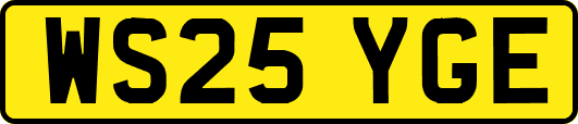 WS25YGE