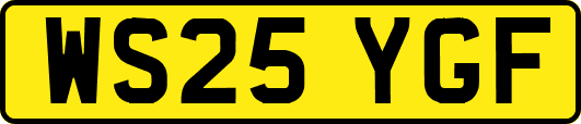 WS25YGF