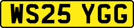 WS25YGG