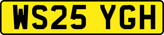 WS25YGH