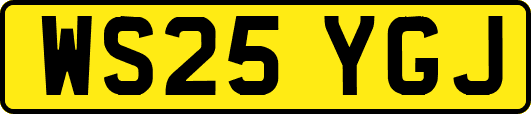 WS25YGJ
