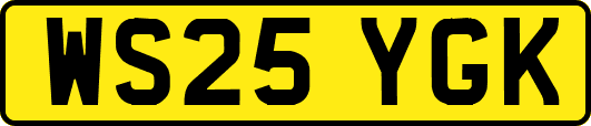 WS25YGK